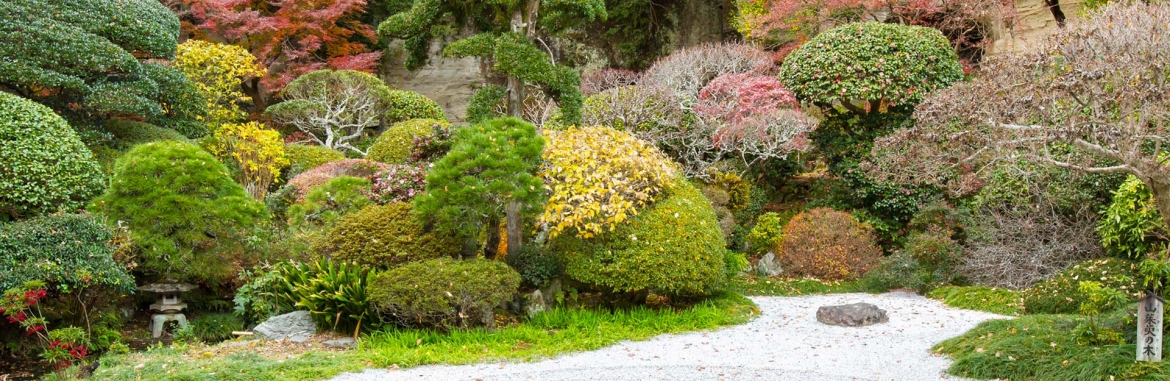 OXYFORME-Slide-JardinZen.jpg