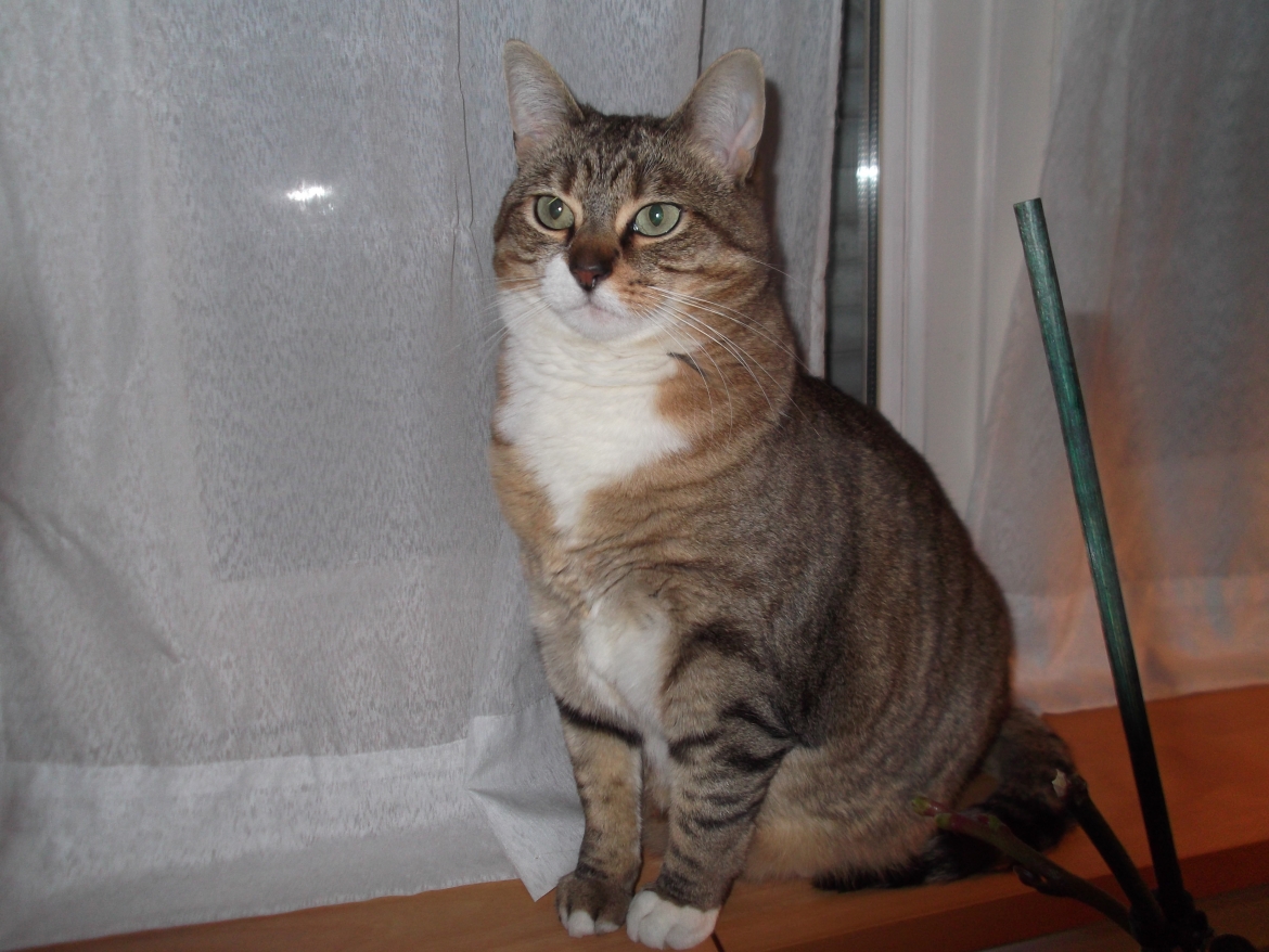 DSCF1333.jpg